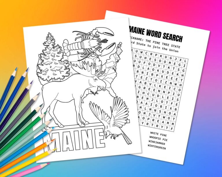 State Of Maine USA Coloring Page U0026 Word Search Puzzle Fun Geography Activity For Kids Educational Color In Map Of The United States Etsy Canada