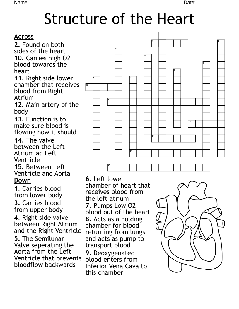 My Heart Puzzle Worksheet