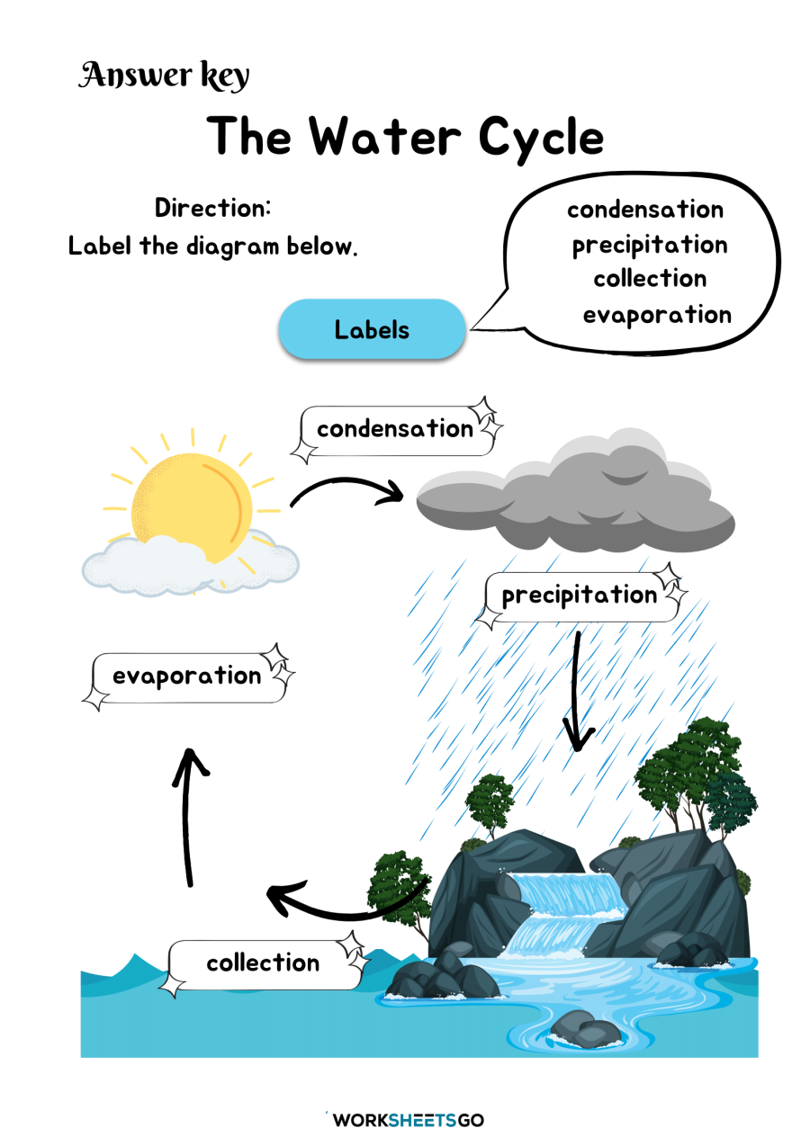 The Water Cycle Worksheets WorksheetsGO The Water Cycle Worksheets WorksheetsGO