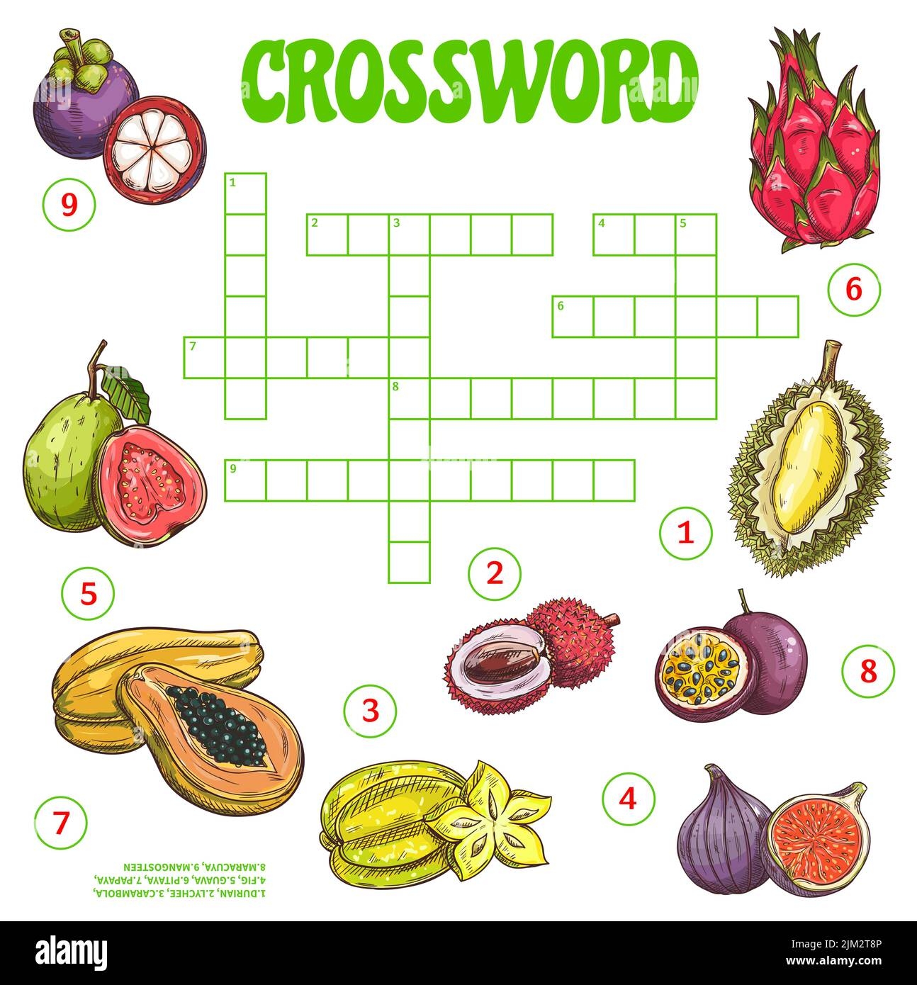Tropical Raw Fruits Crossword Grid Worksheet Find A Word Vector Quiz Game Crossword Puzzle With Names Of Exotic Berries Fill In Squares Riddle With Stock Vector Image U0026 Art Alamy Tropical Raw Fruits Crossword Grid Worksheet Find A Word Vector Quiz Game Crossword Puzzle With Names Of Exotic Berries Fill In Squares Riddle With Stock Vector Image U0026 Art Alamy