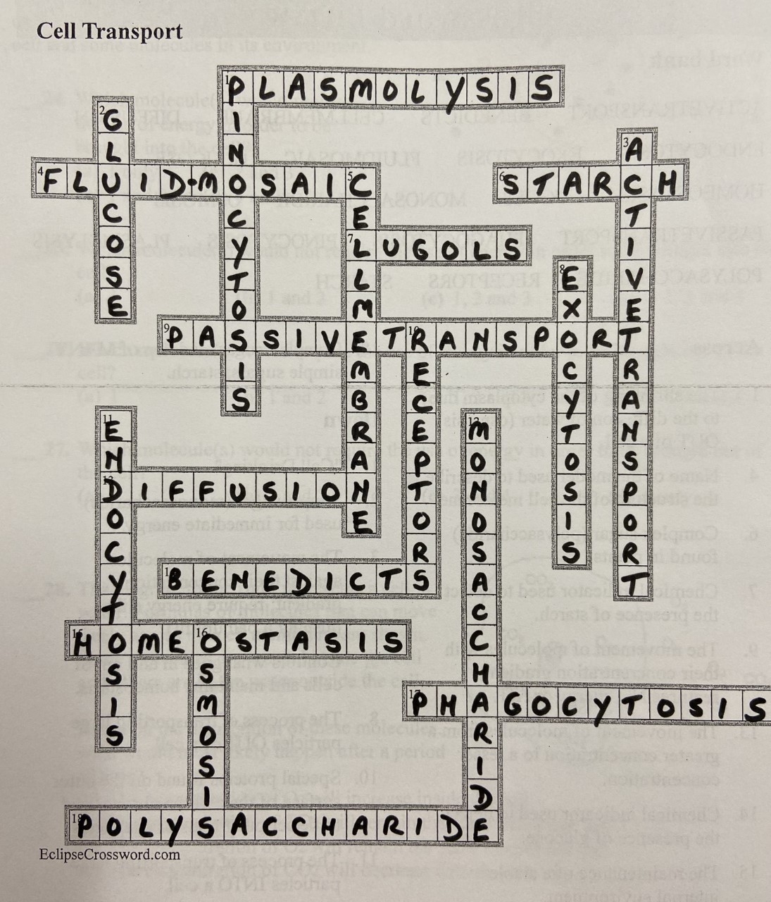 Unit 4 Cell Transport Collea s Corner