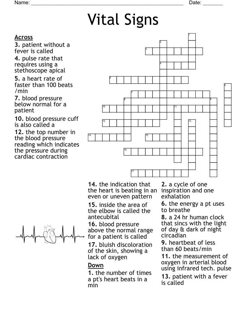 Vital Signs Crossword WordMint Vital Signs Crossword WordMint