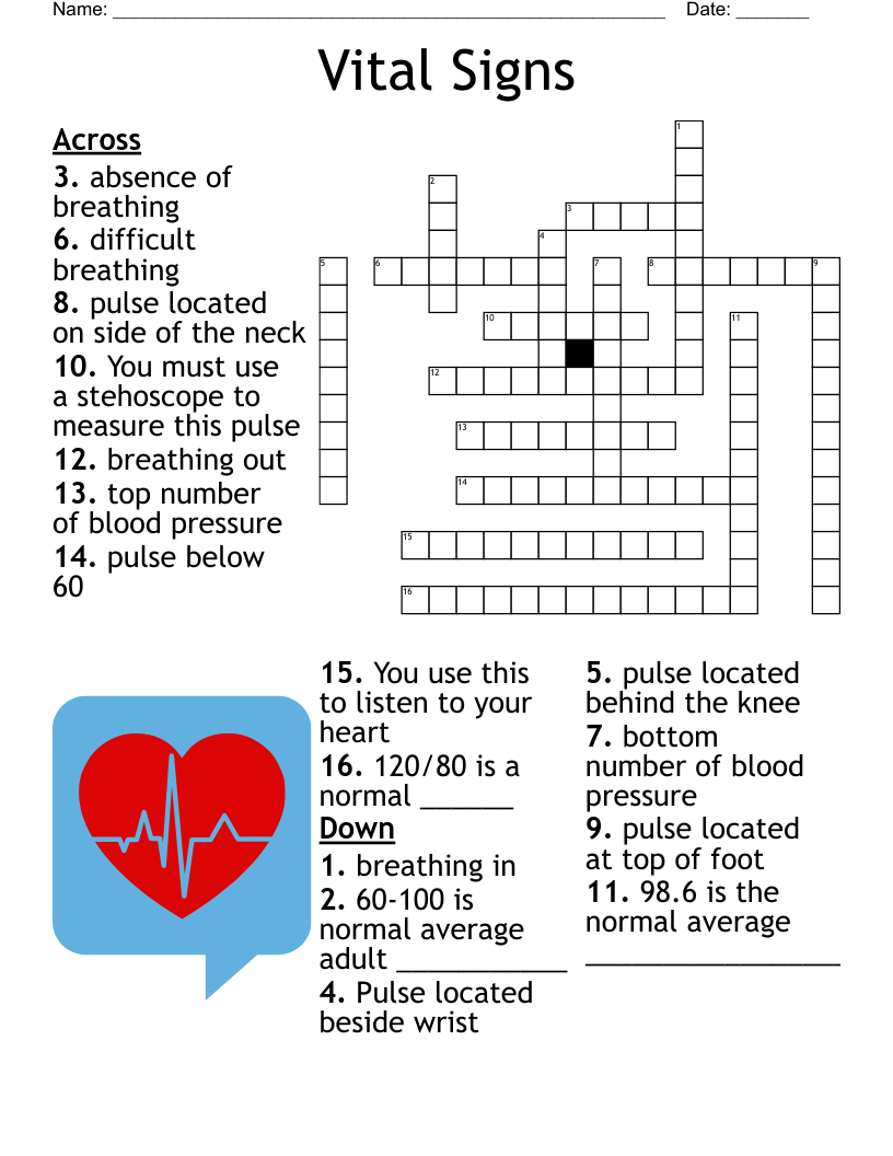 Vital Signs Temp Pulse Respiration Crossword WordMint Vital Signs Temp Pulse Respiration Crossword WordMint