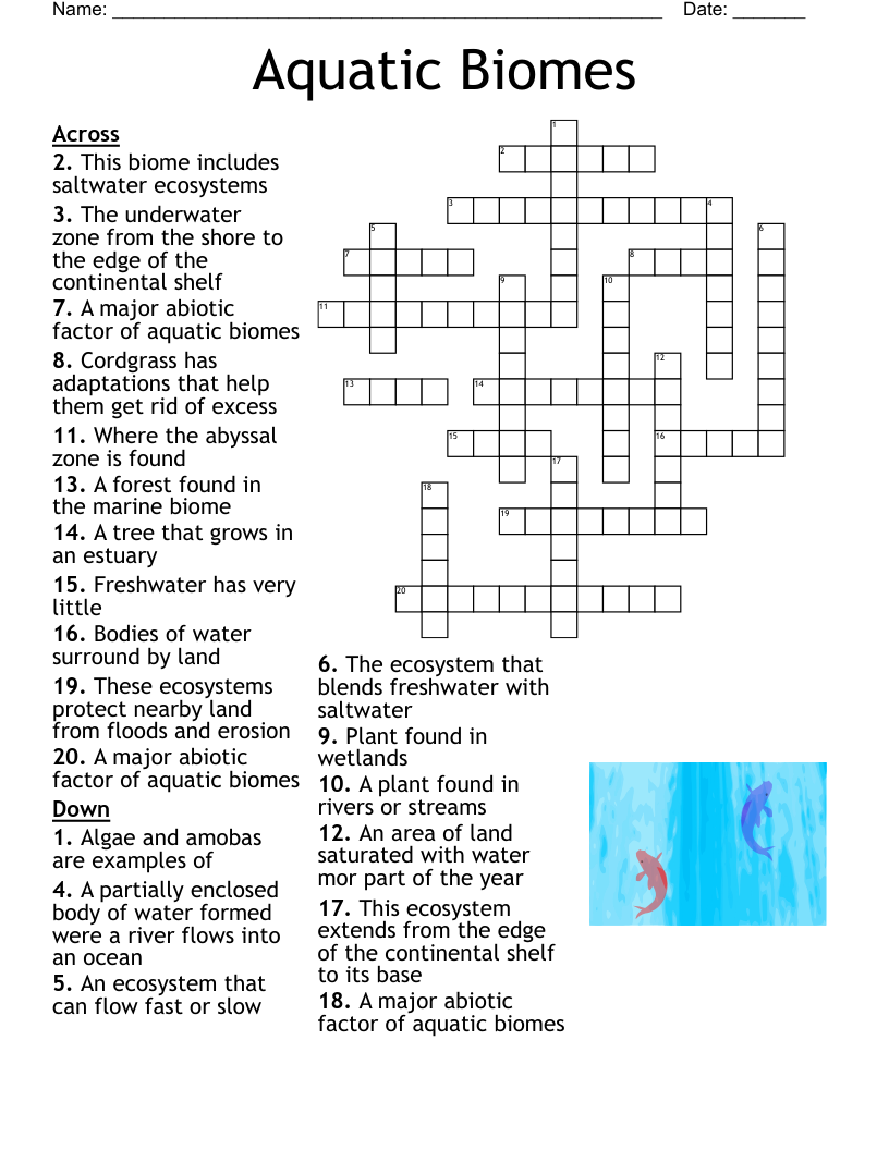 Wetland Crossword WordMint Wetland Crossword WordMint