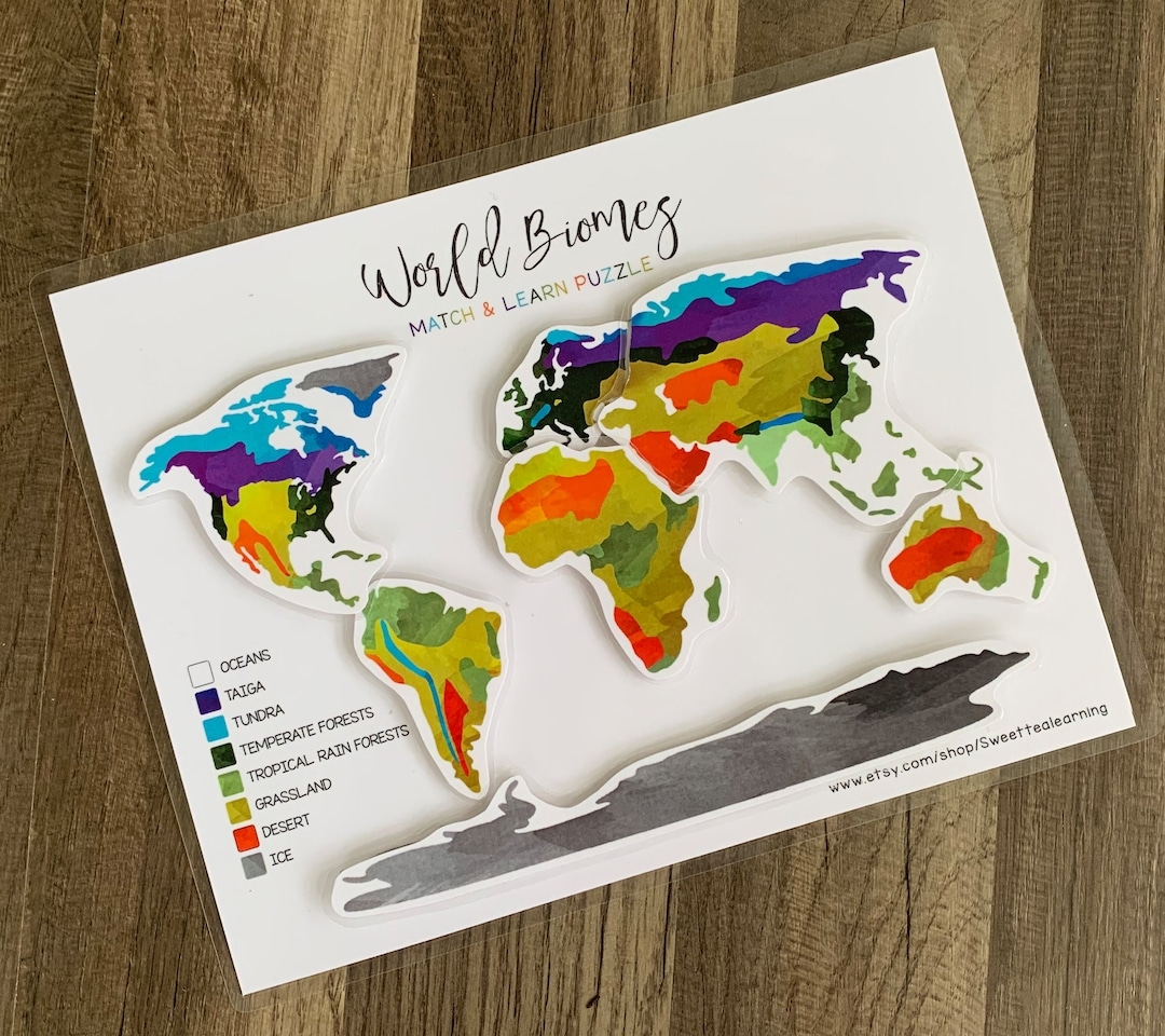 World Biomes Puzzle Map Geography Lesson Busy Book Binder 