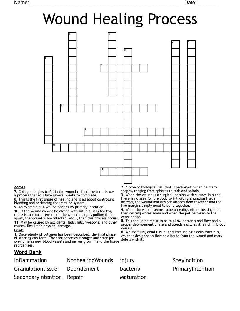 Cures Crossword Puzzle Clue